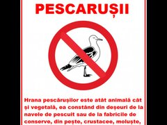 Placuta va rog nu hrani pescarusii
